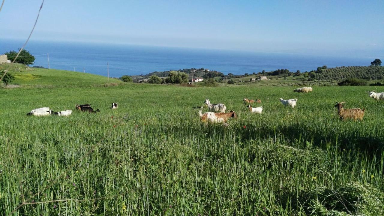 Albidona Agriturismo Masseria Tufaro 빌라 외부 사진